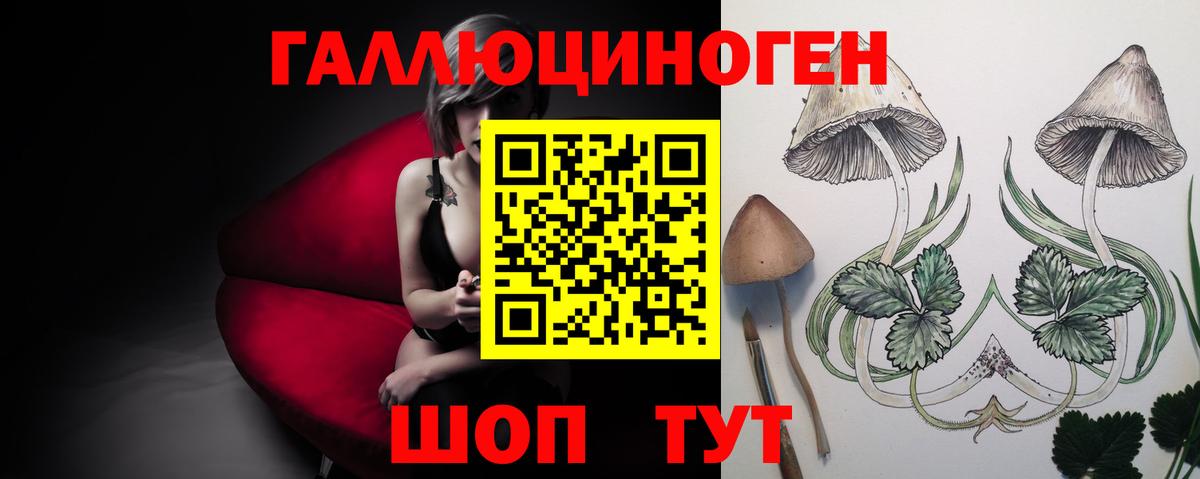Псилоцибиновые грибы Psilocybe  Вход с VPN  Кимовск  Галлюциногенные грибы Magic Shrooms 